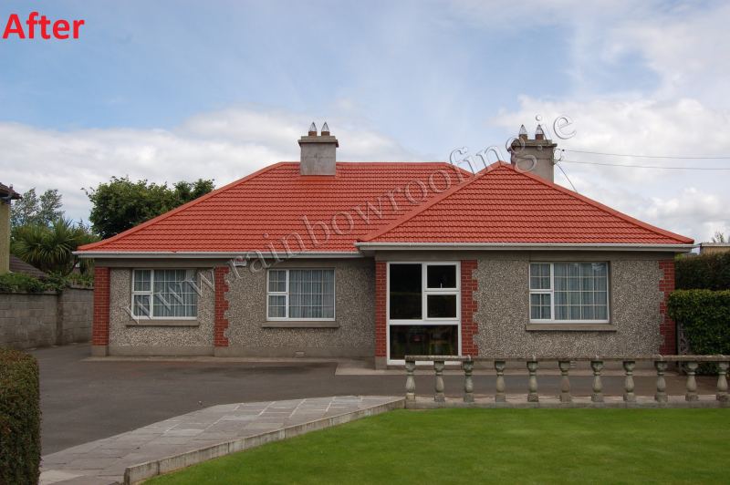 freshly painted roof tiles